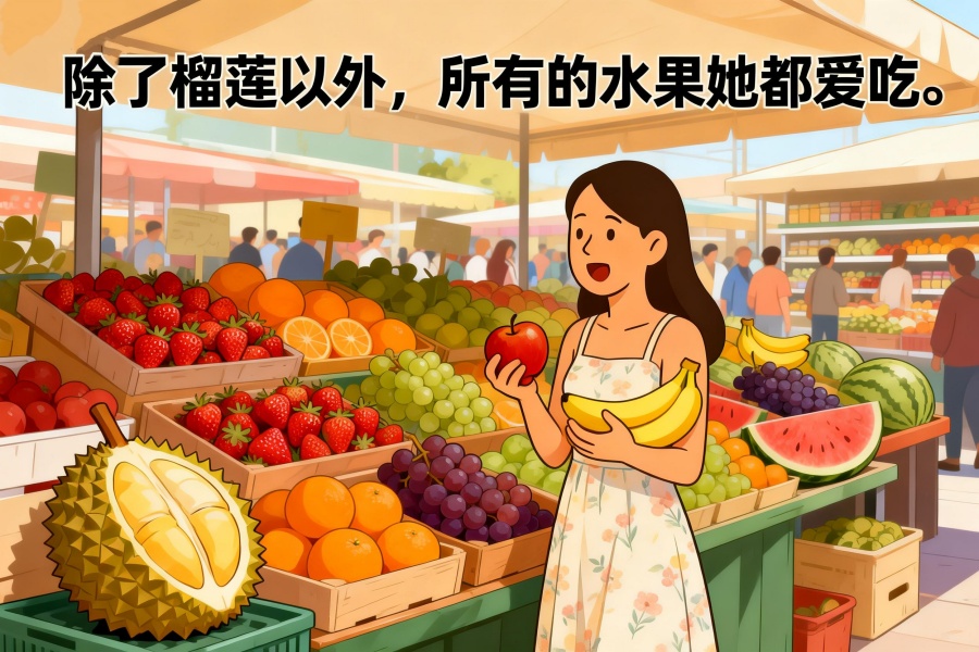 Chinese grammar 除了 ... 以外