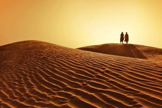 Two Friends in the Desert